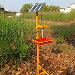 Solar Insect Trap