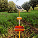Solar Insect Trap
