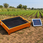 Solar Dryer – Ravi (5 Kg)