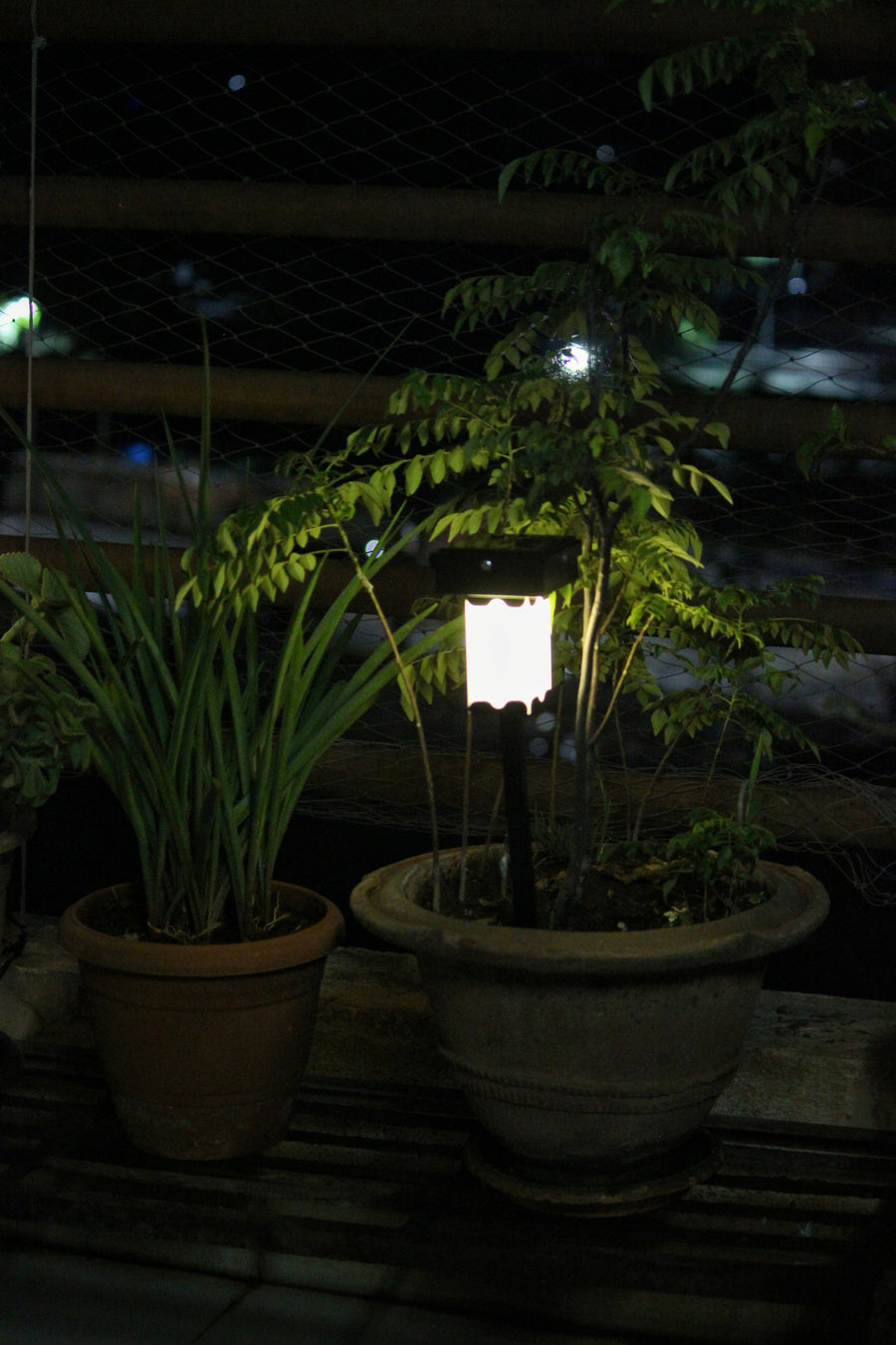 Solar Garden Lights