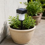 Solar Pot Lamp