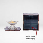 Solar Silver Niranjan