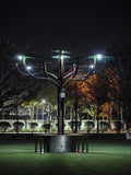 Solar Tree