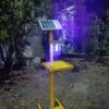 Solar Insect Trap 2
