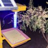 Solar Insect Trap 4